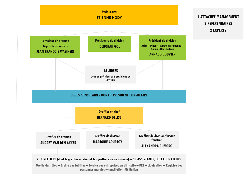 Organigramme 2024